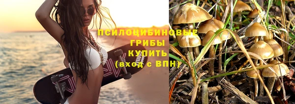 PSILOCYBIN Нязепетровск