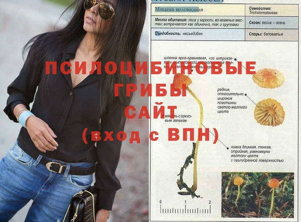 бутират Няндома