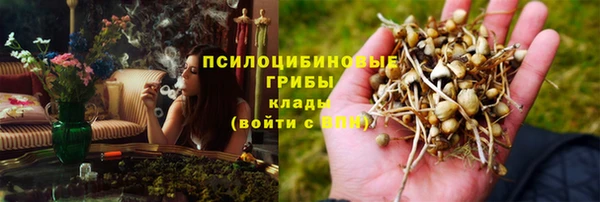 ГАЛЛЮЦИНОГЕННЫЕ ГРИБЫ Алзамай
